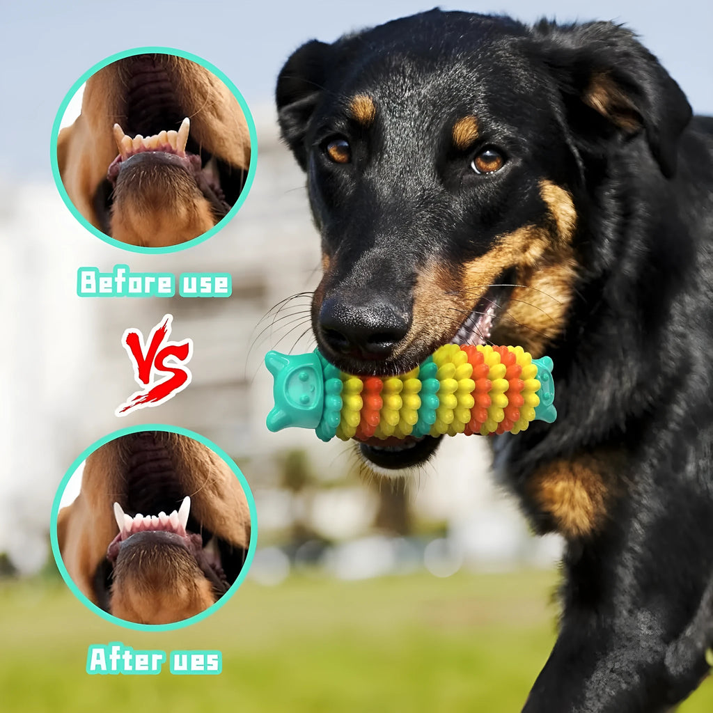 Blue green pink caterpillar-shaped natural rubber dog chew toy for aggressive chewers on a plain background.