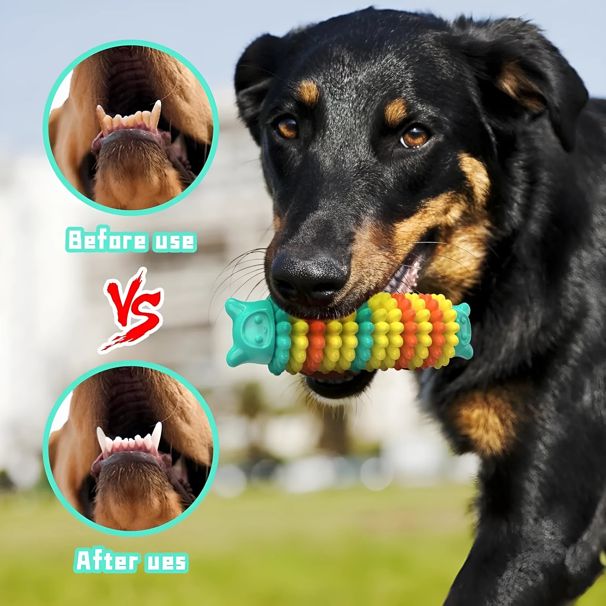 Blue green pink caterpillar-shaped natural rubber dog chew toy for aggressive chewers on a plain background.