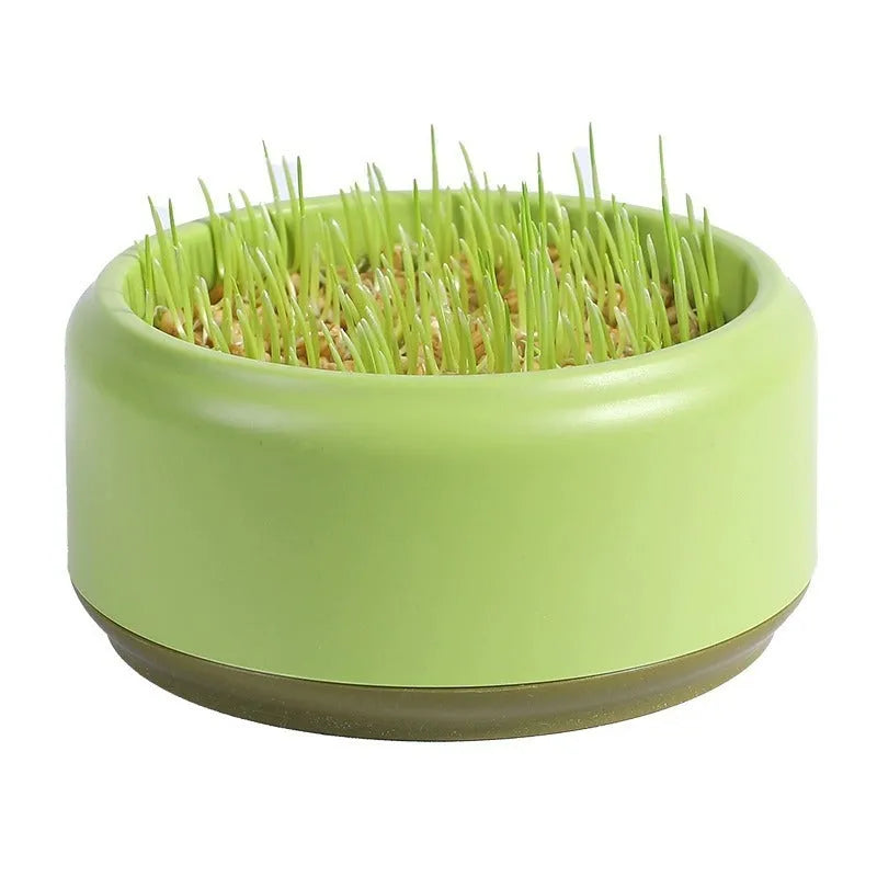 Hydroponic cat grass growing kit with reusable cup and seed packs in blue, green, yellow colours