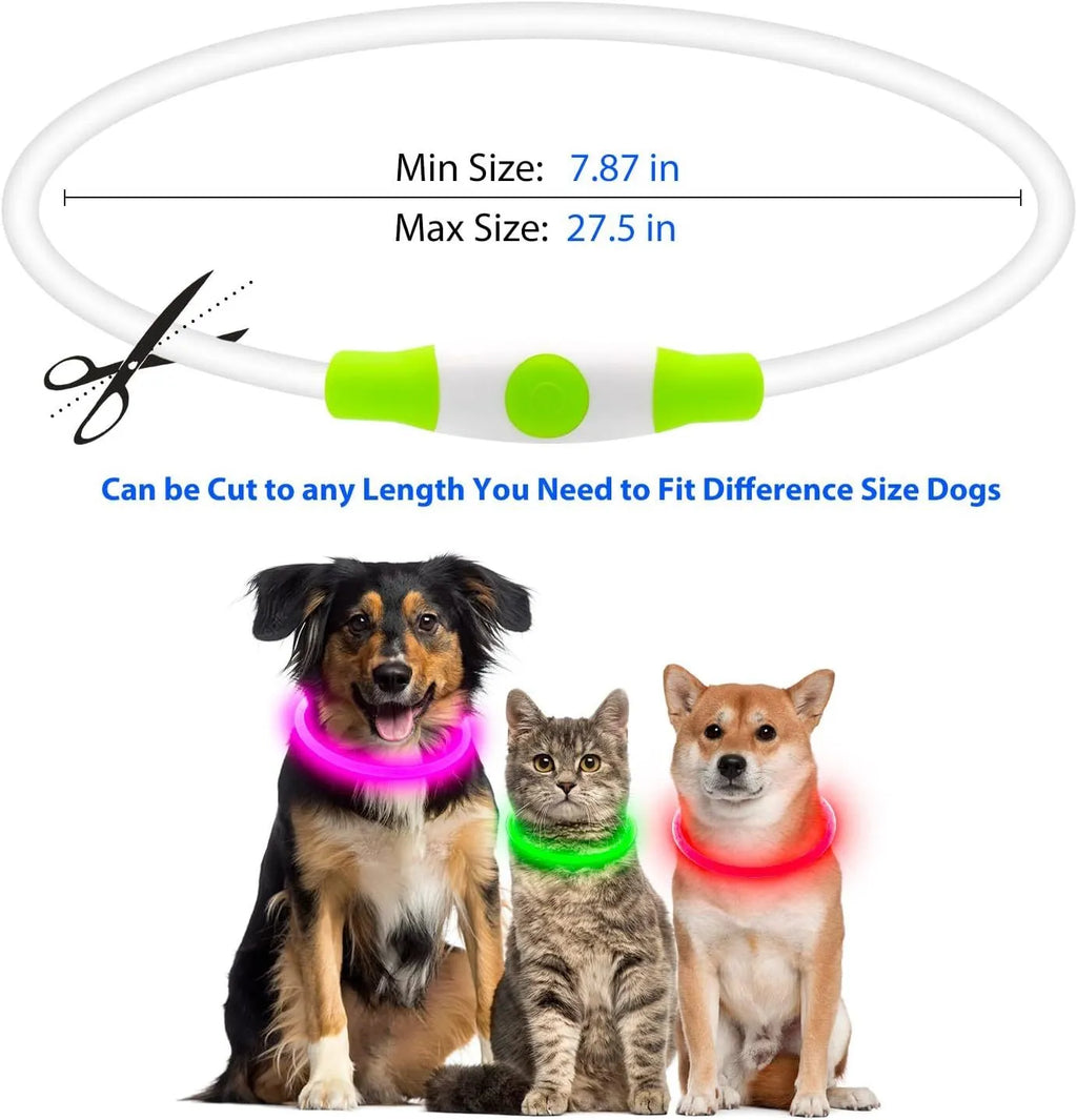 USB rechargeable LED dog collar glowing in dark with adjustable 70cm length