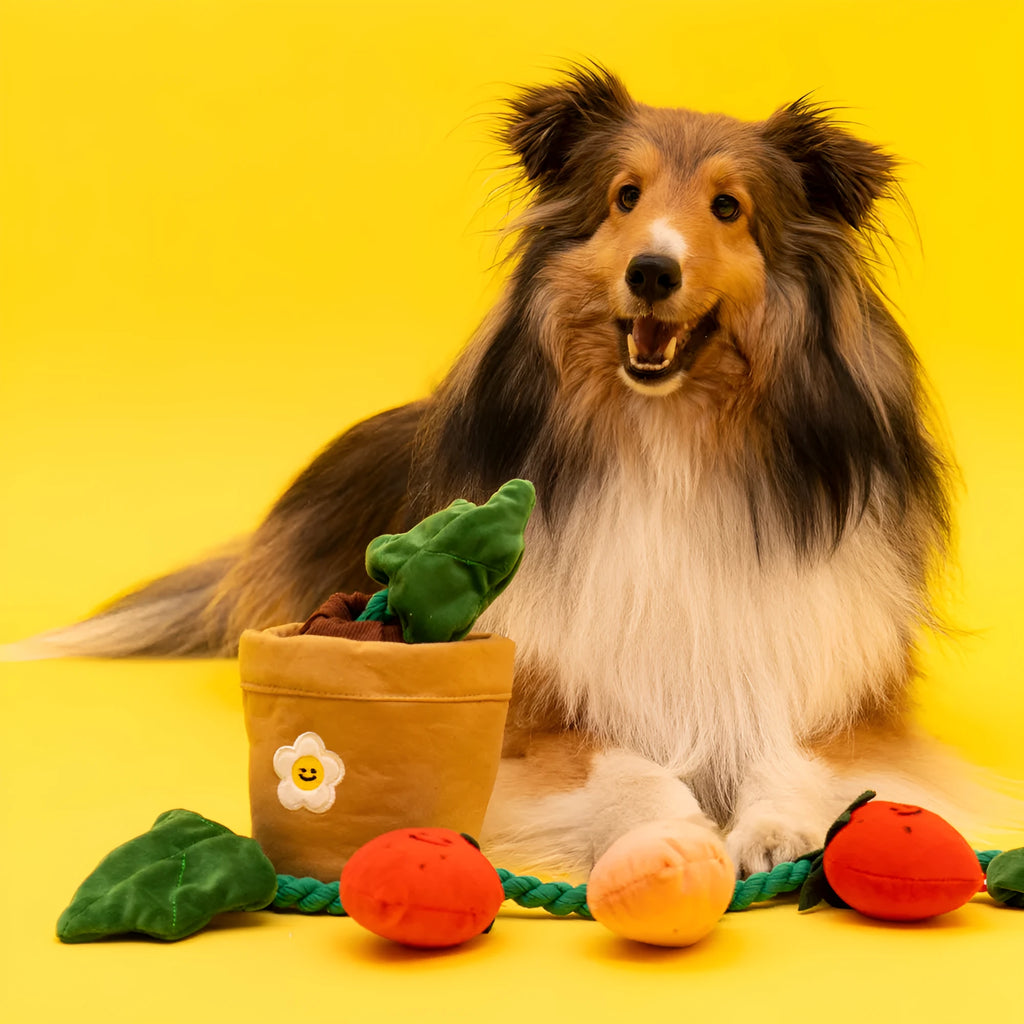 Tibetan food toy strawberry potted plant plush hide-and-seek dog pull toy in photo colour