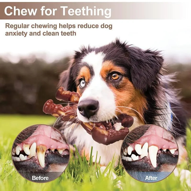 Scarlet red beef-flavoured nylon dog chewing toy with textured surface measuring 10.7x17.2x5cm