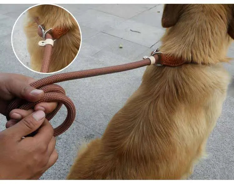 Brown nylon P-chain dog leash with hand-holding rope, 2.1 metres long
