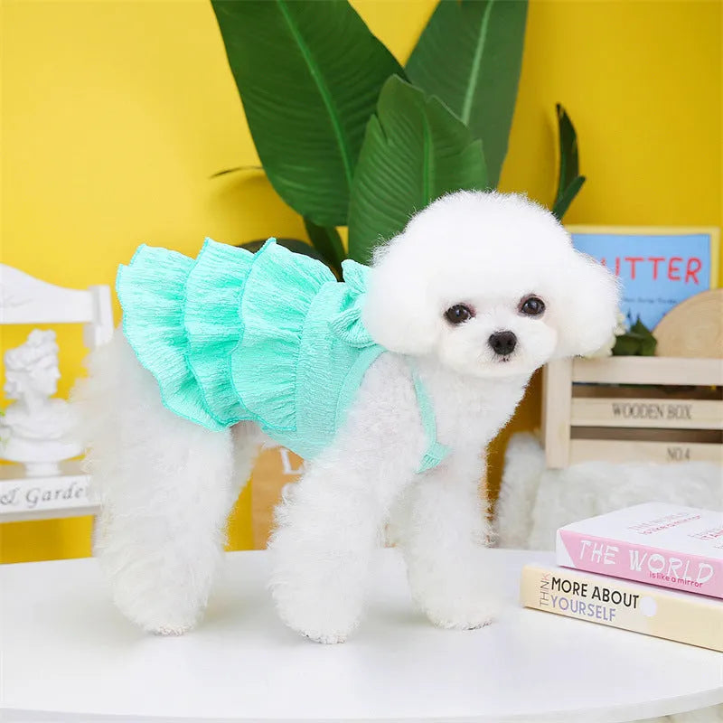 Small white dog wearing a rose red layered princess dress with a candy skirt.