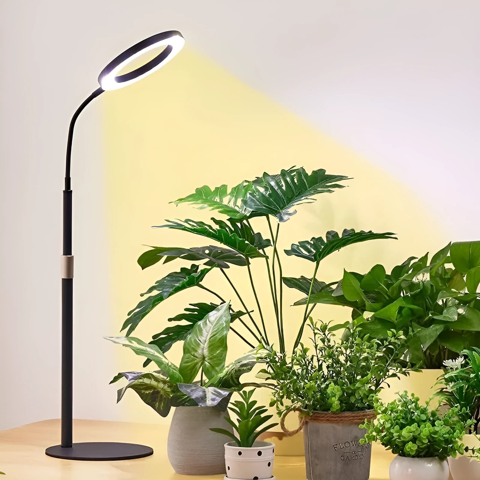 6-inch angel ring retractable floor plant grow light with adjustable aluminium alloy stand
