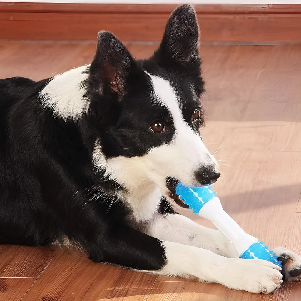 Dual-colour puppy teething chew toy made of TPR rubber for dogs aged 2-8 months
