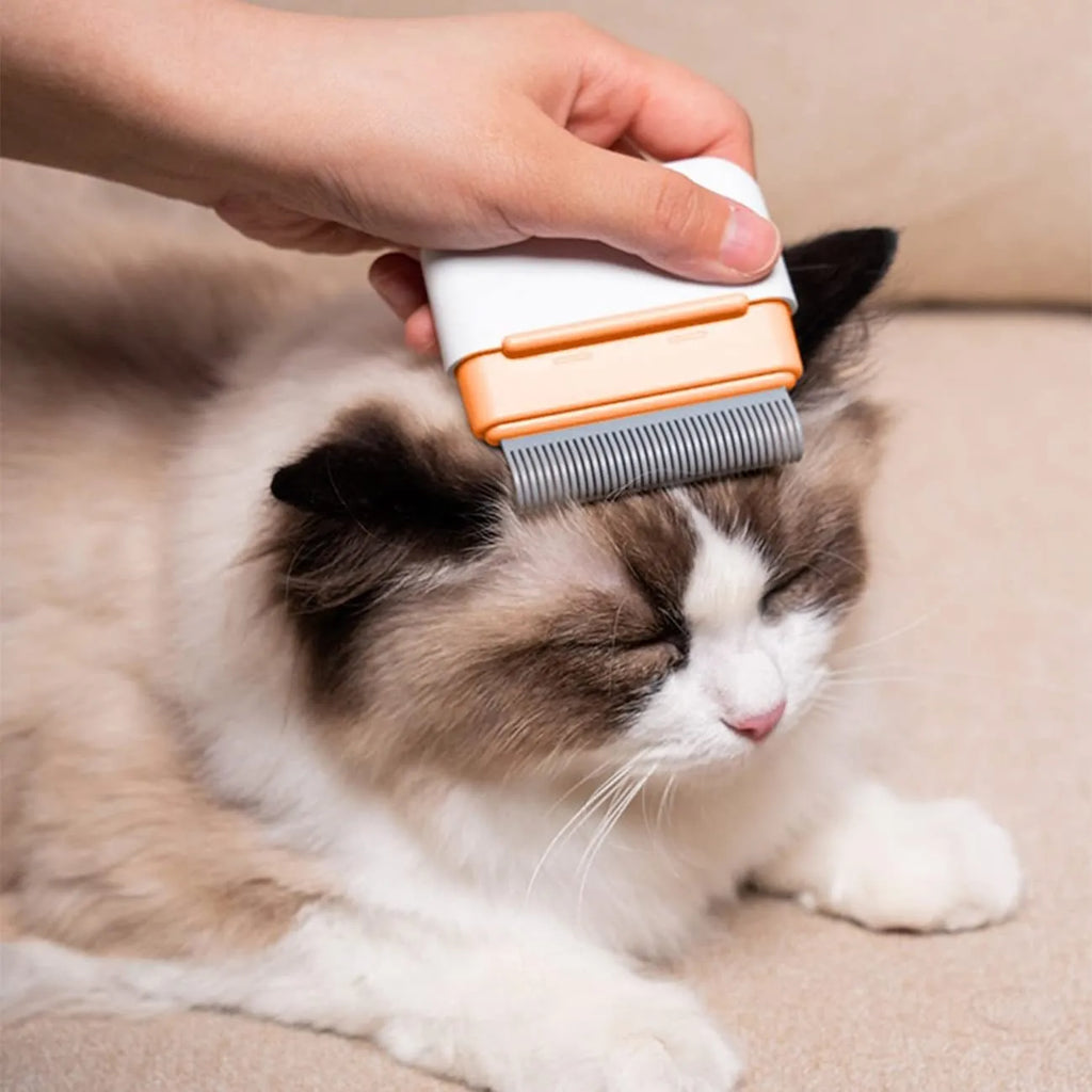 Blue double-sided pet grooming comb for cats and dogs on a grey background