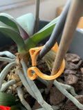 Cat-shaped plastic plant clip for gardening in four colour options