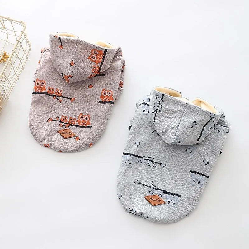 Blue cotton dog sweater with front zipper closure on small dog model