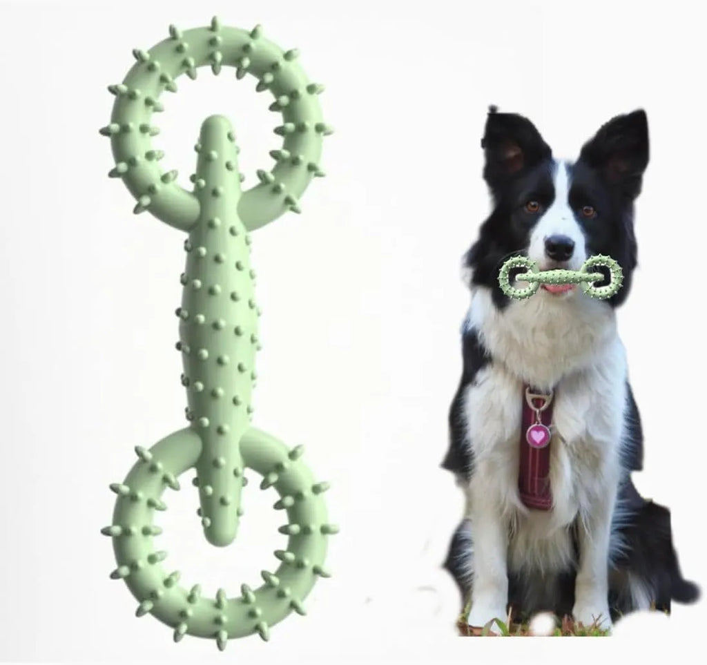 Blue TPR dog chew toy ring measuring 16cm diameter for puppy teething and interactive play