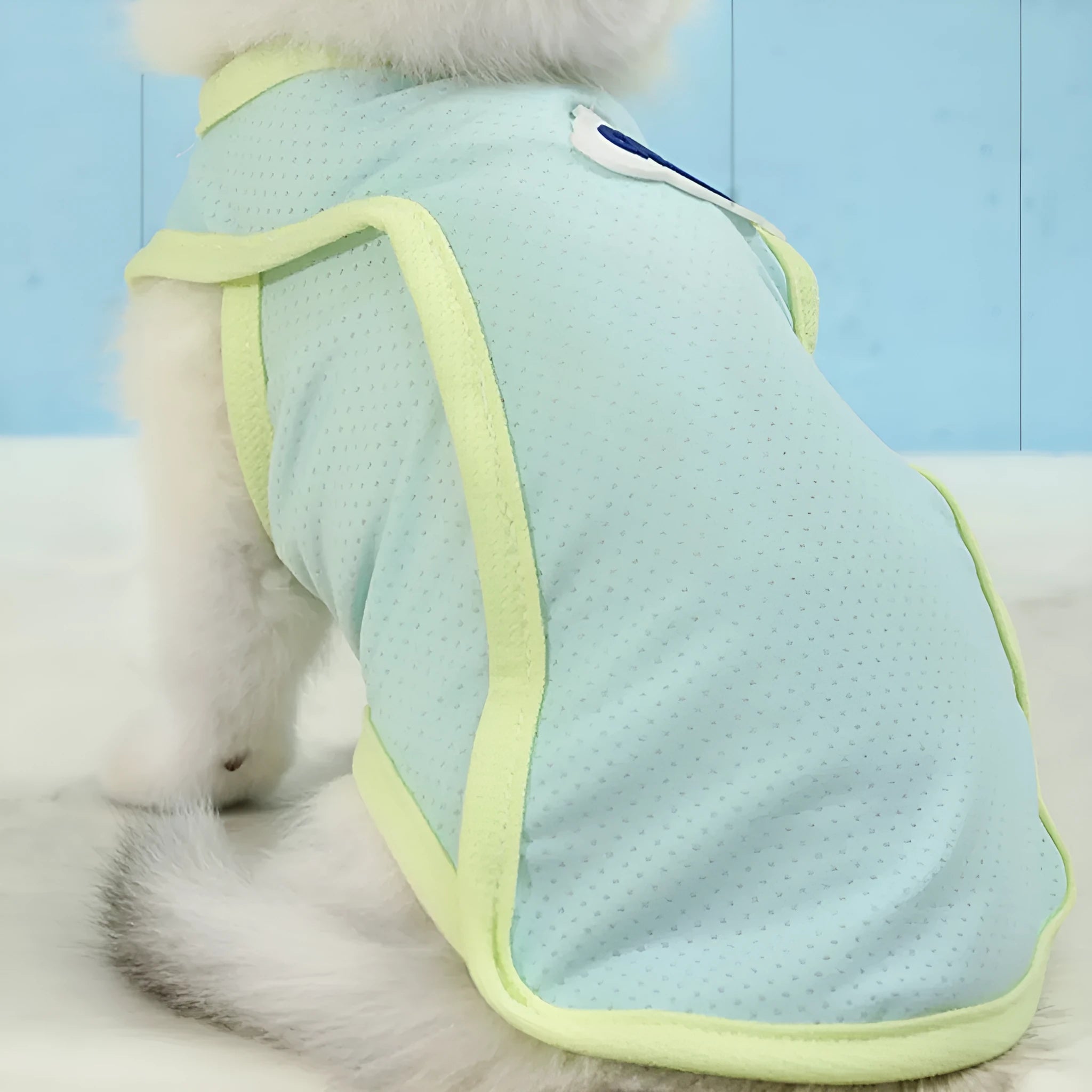 Lightweight polyester cat vest in grass green or taro purple for summer pet wear