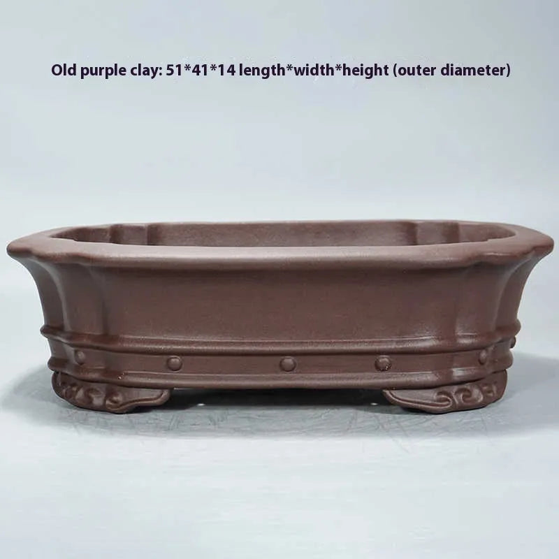 Purple clay rectangular begonia shaped flower pot 51x41cm on desktop with green plants