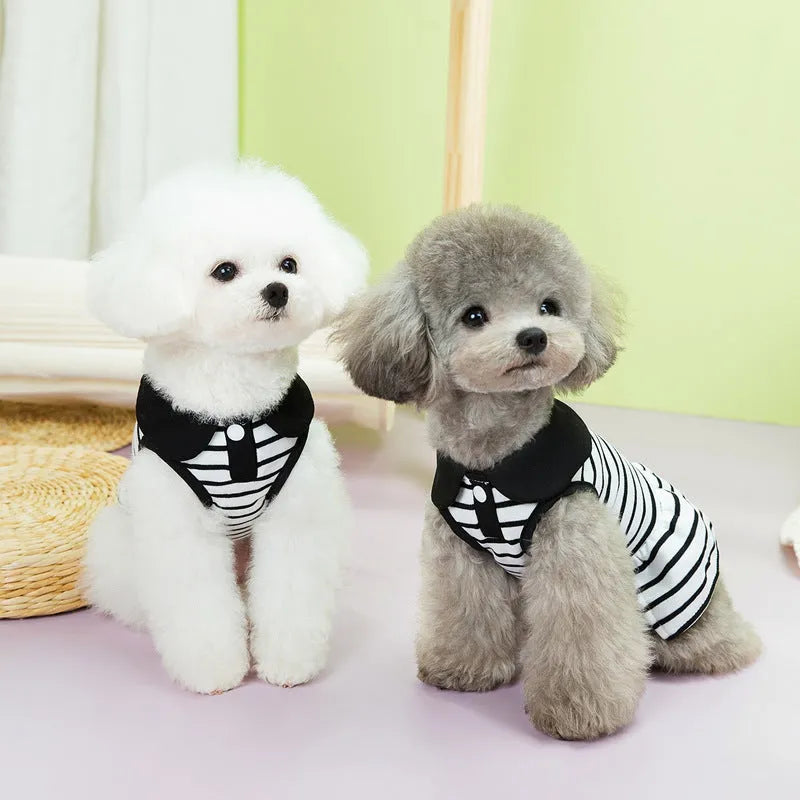 Striped cotton T-shirt and matching skirt pet clothing set for summer