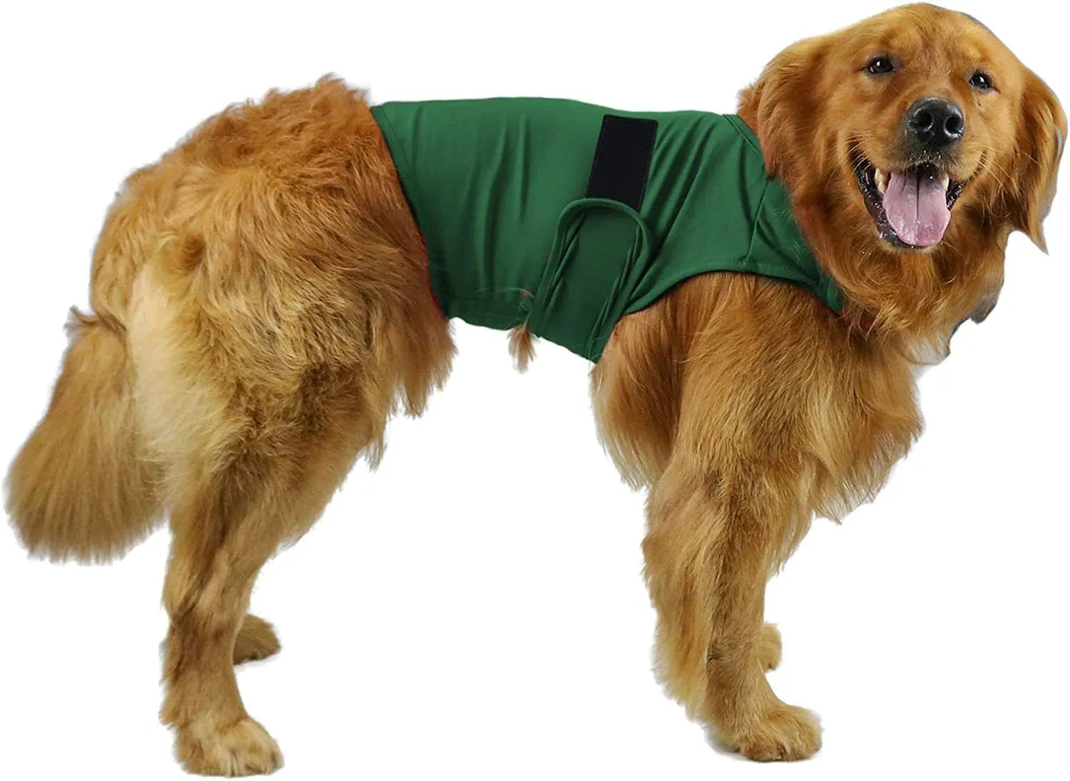 Brown dog anxiety relief tank top jacket on canine model showing casual pet clothing design