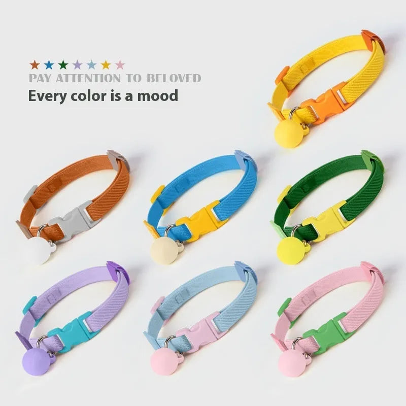 Small dog collar made of polyester with high elasticity, shown in one of seven colours on a white background.