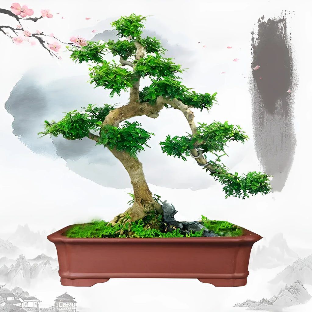 Handmade purple clay rectangular bonsai flower pot for indoor plants
