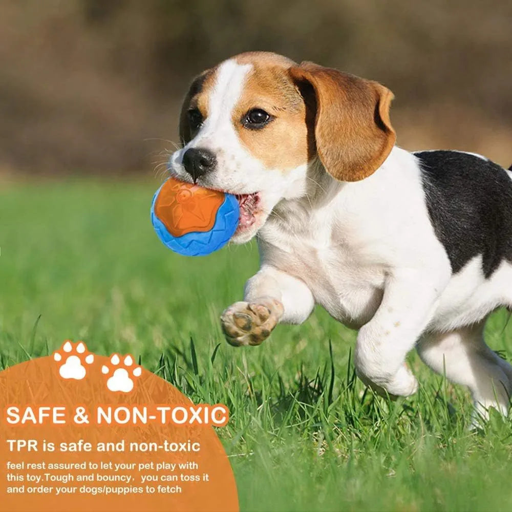 Set of three floating TPR dog toys: a squeaky ball, barbell, and tyre for water fetch.