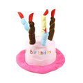 Blue and pink dog birthday hats showing dimensions of 21cm x 15cm x 6.5cm