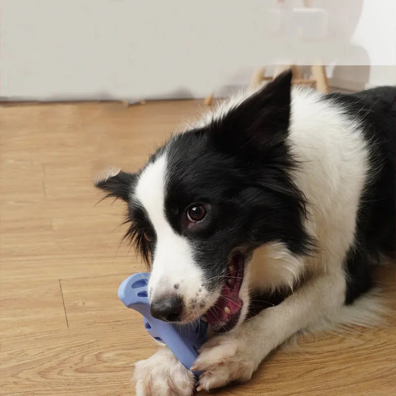 Blue boomerang-shaped dog chew toy with textured edges for dental stimulation