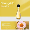 Ultrasonic aroma diffuser and mosquito repellent device with essential oil or repellent liquid bottle