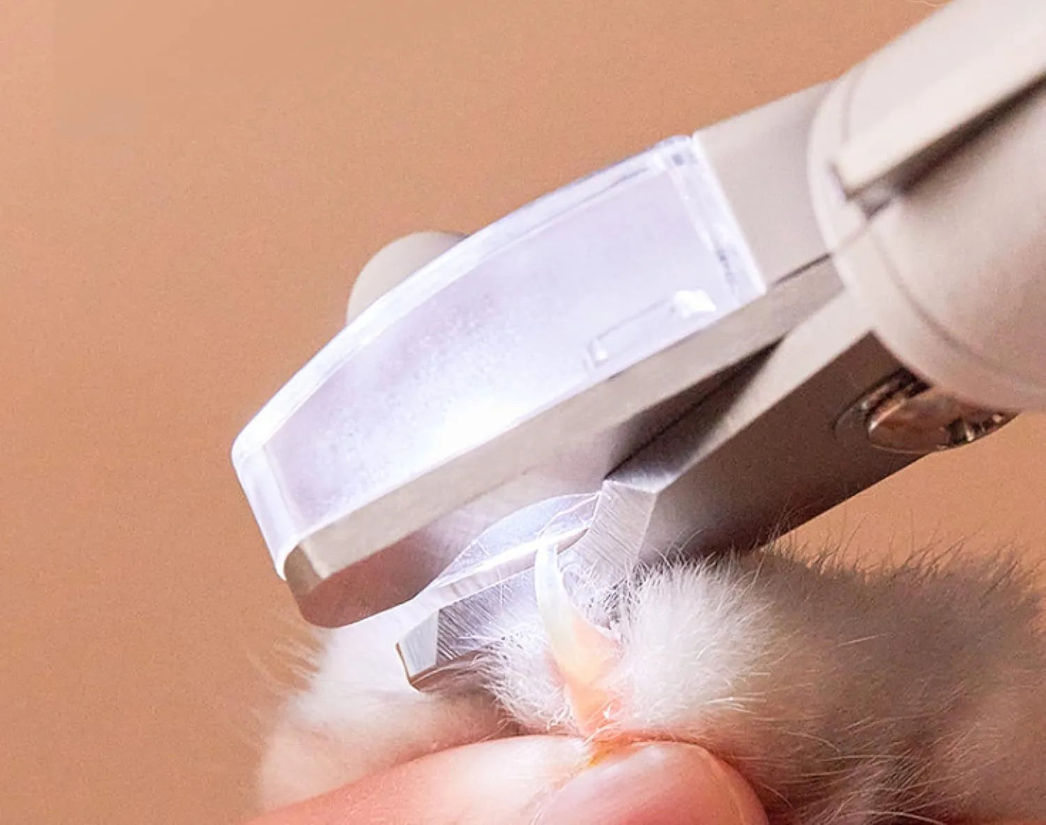 White LED pet nail clippers with open anti-splash guard and nail file on a solid colour background