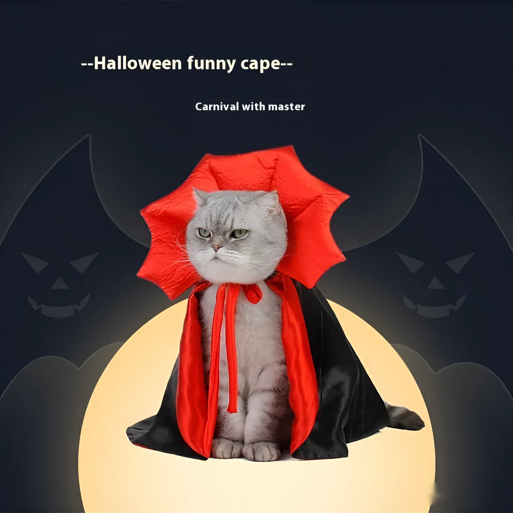Black and red Halloween costume for cats and dogs with European American style design