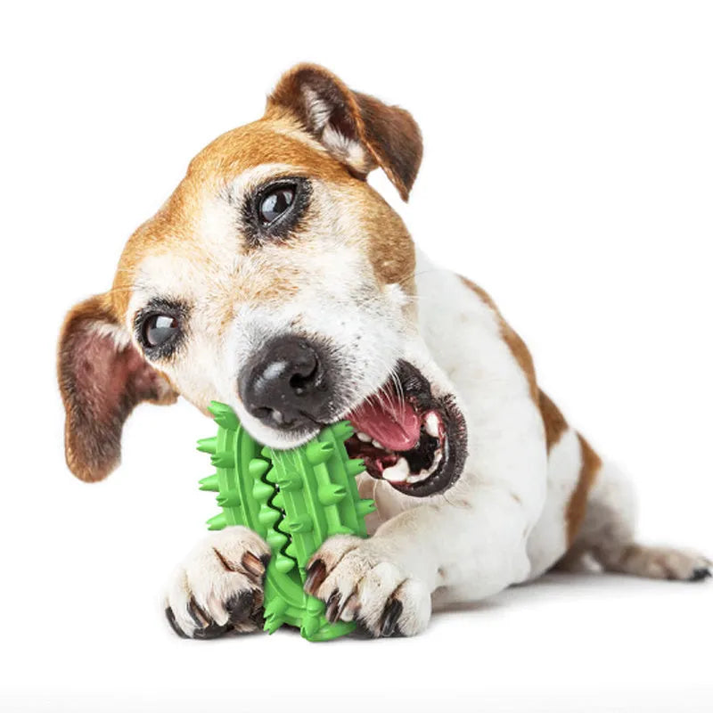 Green and yellow cactus-shaped dog toothbrush chew toy for medium to large dogs.