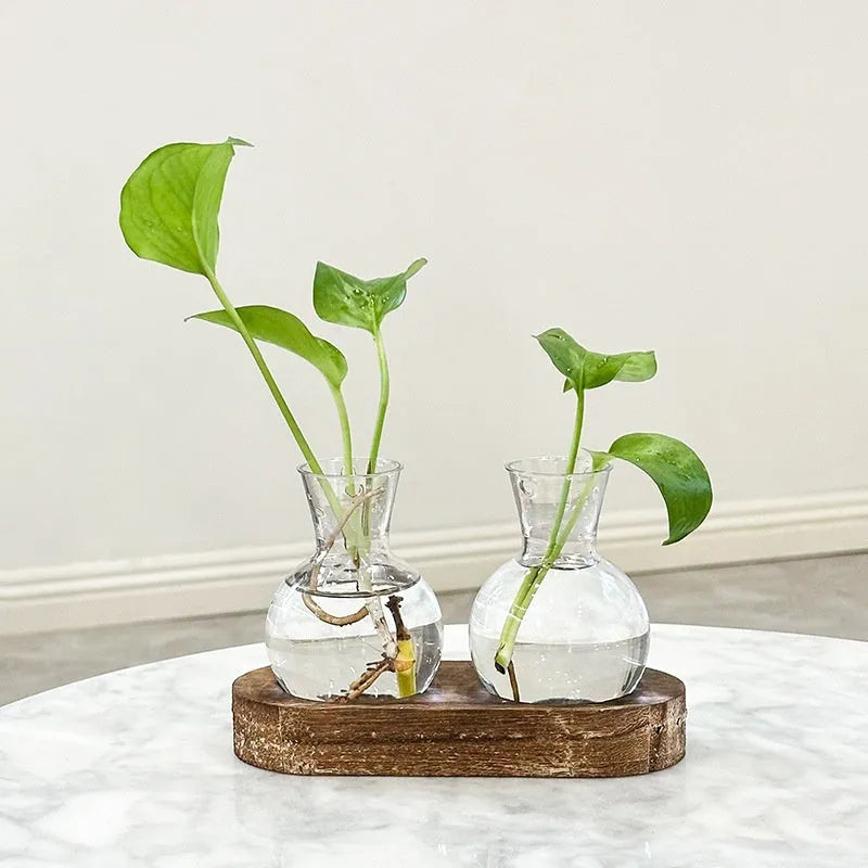 Wooden frame transparent hydroponic vase decoration in modern simplicity style