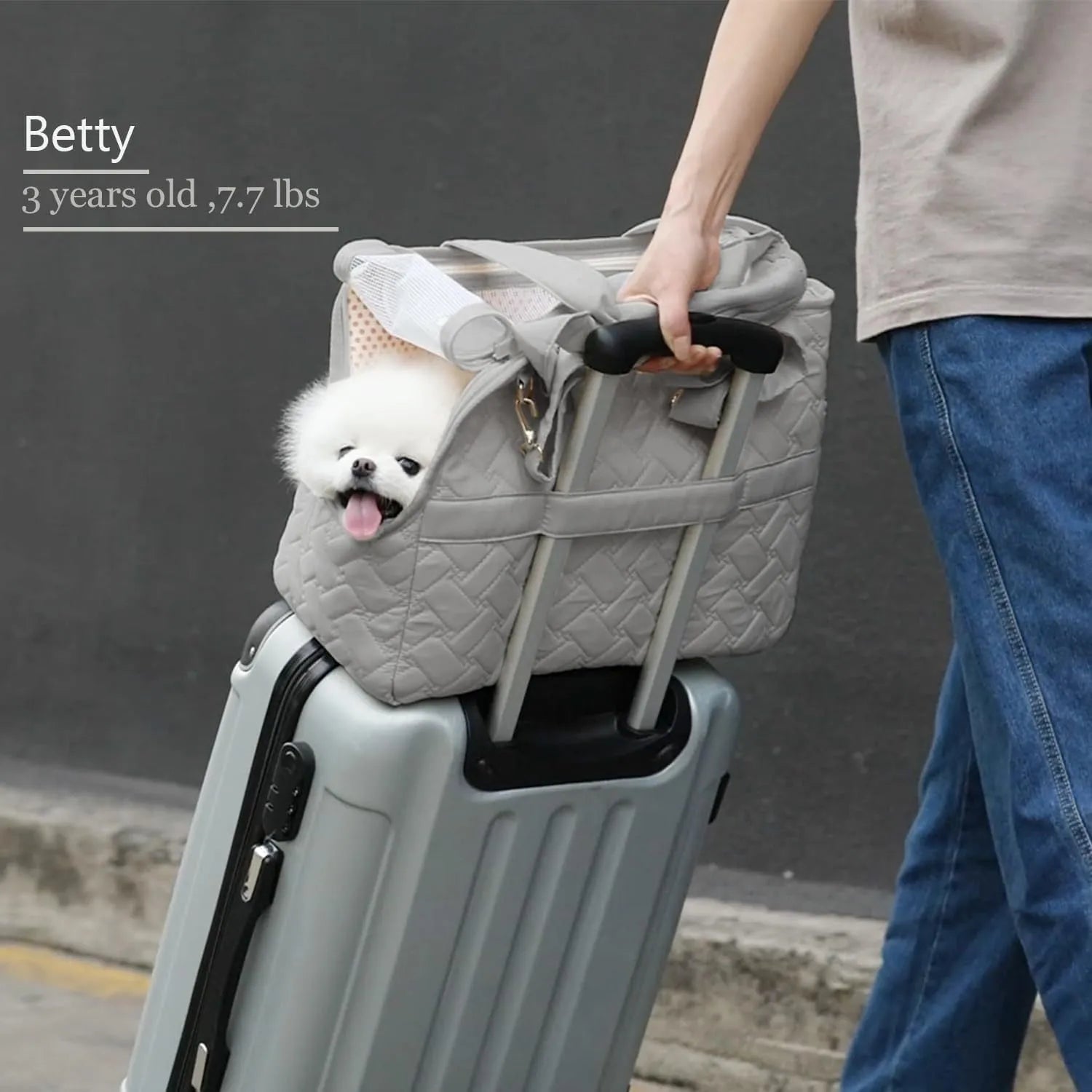 Gray nylon pet carrier handbag with mesh windows and multiple pockets for small cats and dogs