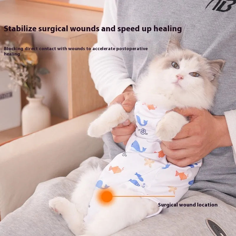 Cat wearing a blue polyester sterilisation recovery suit with velcro fastening on its torso.