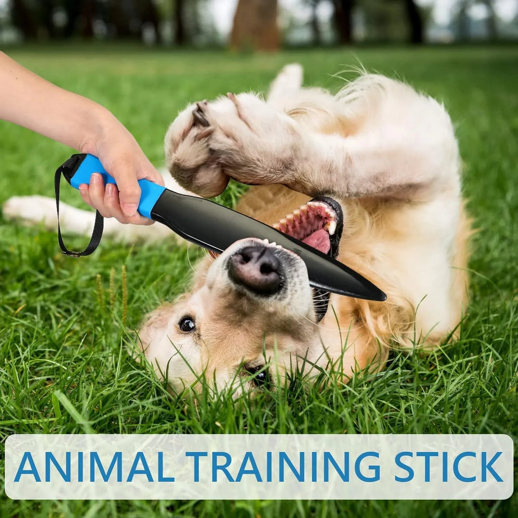 Blue handled nylon dog break stick for training, shown with measurement scale indicating 35 cm length