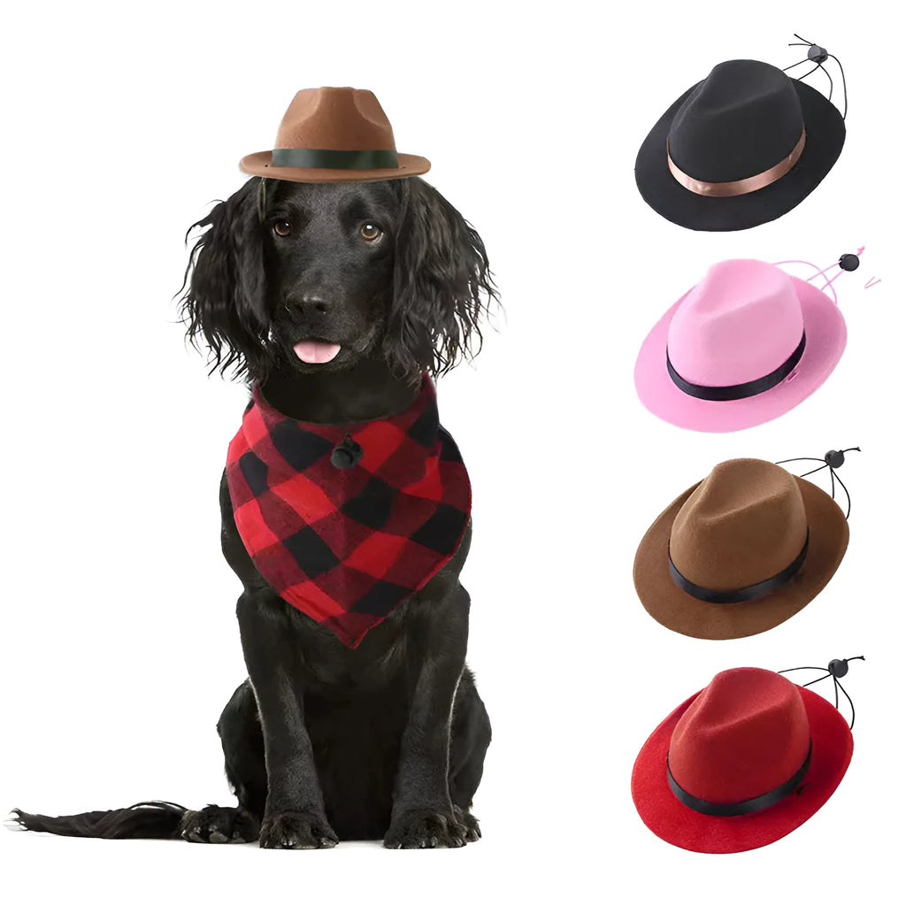 Handmade wool felt mini pet hat in pink, black, brown, or red with hairpin accessory