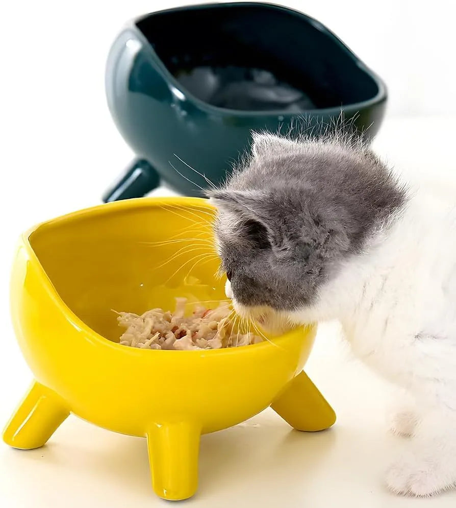 Green ceramic pet food bowl with four-legged stability design for cats and small dogs