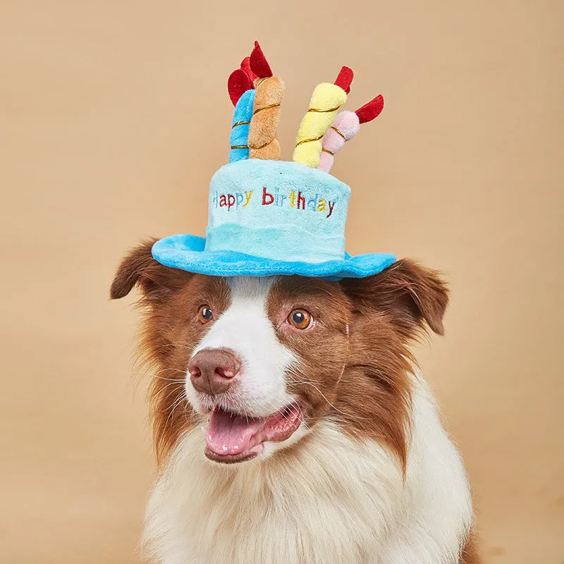 Blue and pink dog birthday hats showing dimensions of 21cm x 15cm x 6.5cm