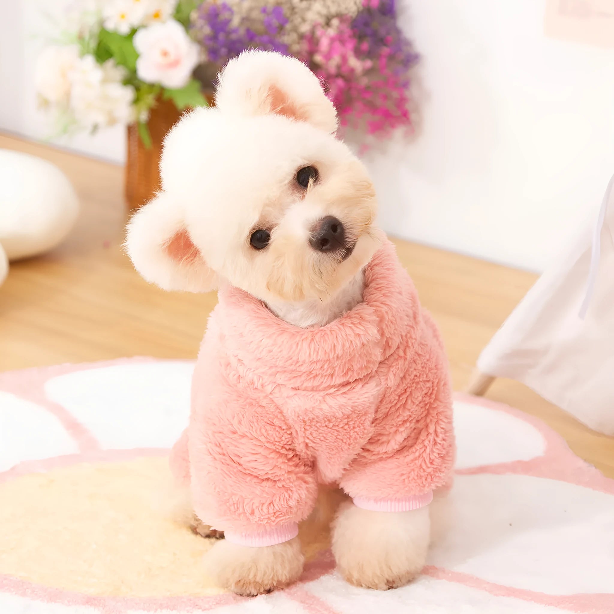 A dog wearing a blue four-legged plush jacket with a high collar and a tow ring on the back.