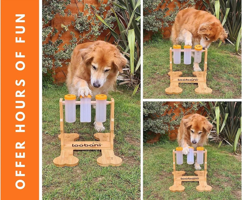 Natural wood colour dog puzzle toy and snack dispenser measuring 31 by 30 by 20 centimetres.