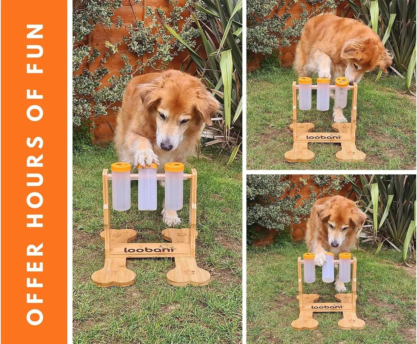 Natural wood colour dog puzzle toy and snack dispenser measuring 31 by 30 by 20 centimetres.