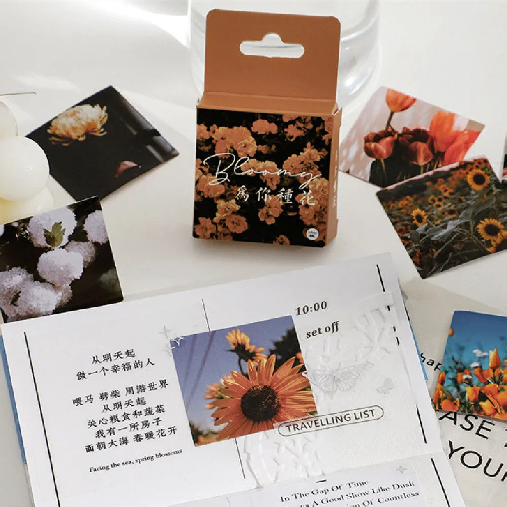 Box of square Nordic style decorative stickers showing six colour themes like Rose Love Letter and Grape Wine.