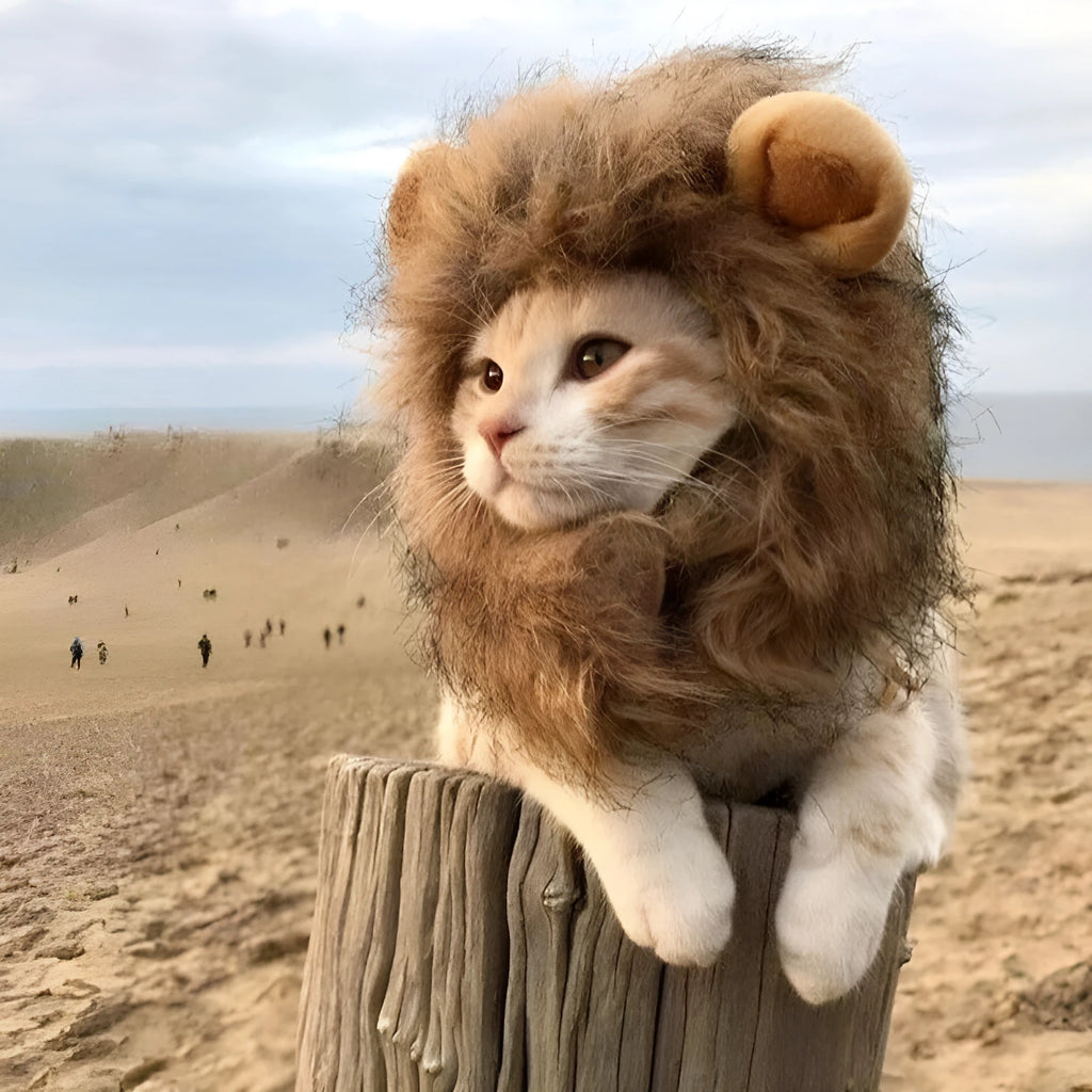 A lion mane wig for cats and small dogs with fluffy artificial hair, plush ears, and an adjustable strap.