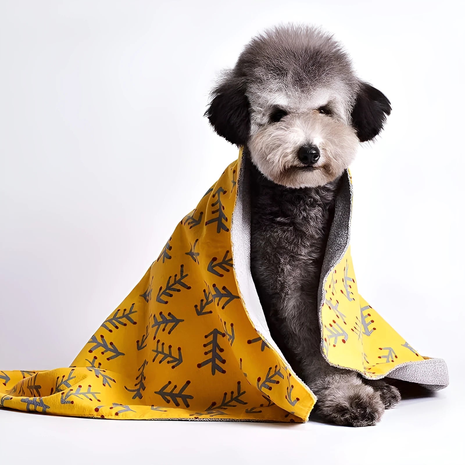 Double-sided cotton velvet pet blanket with dinosaur and cartoon bear prints in various sizes.