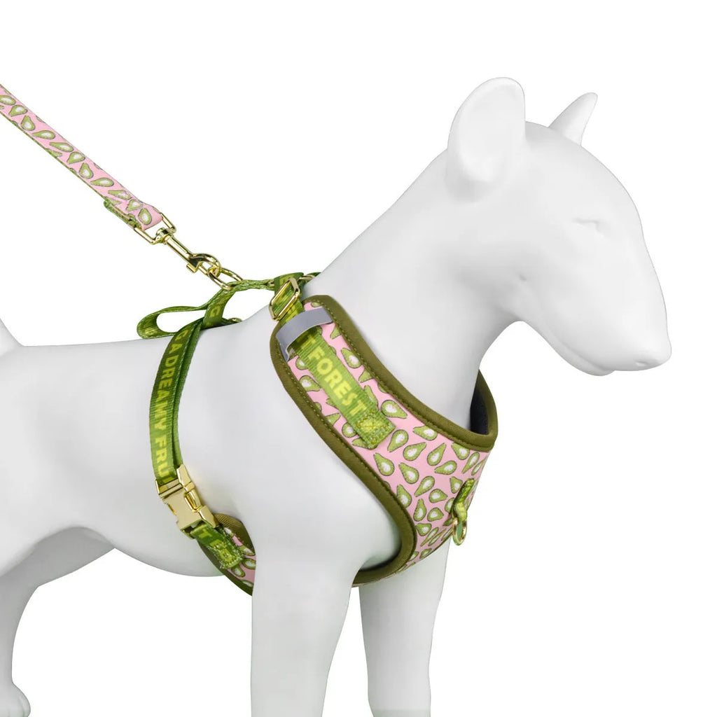 Colourful pet haulage rope with chest-back harness design for medium and large dogs