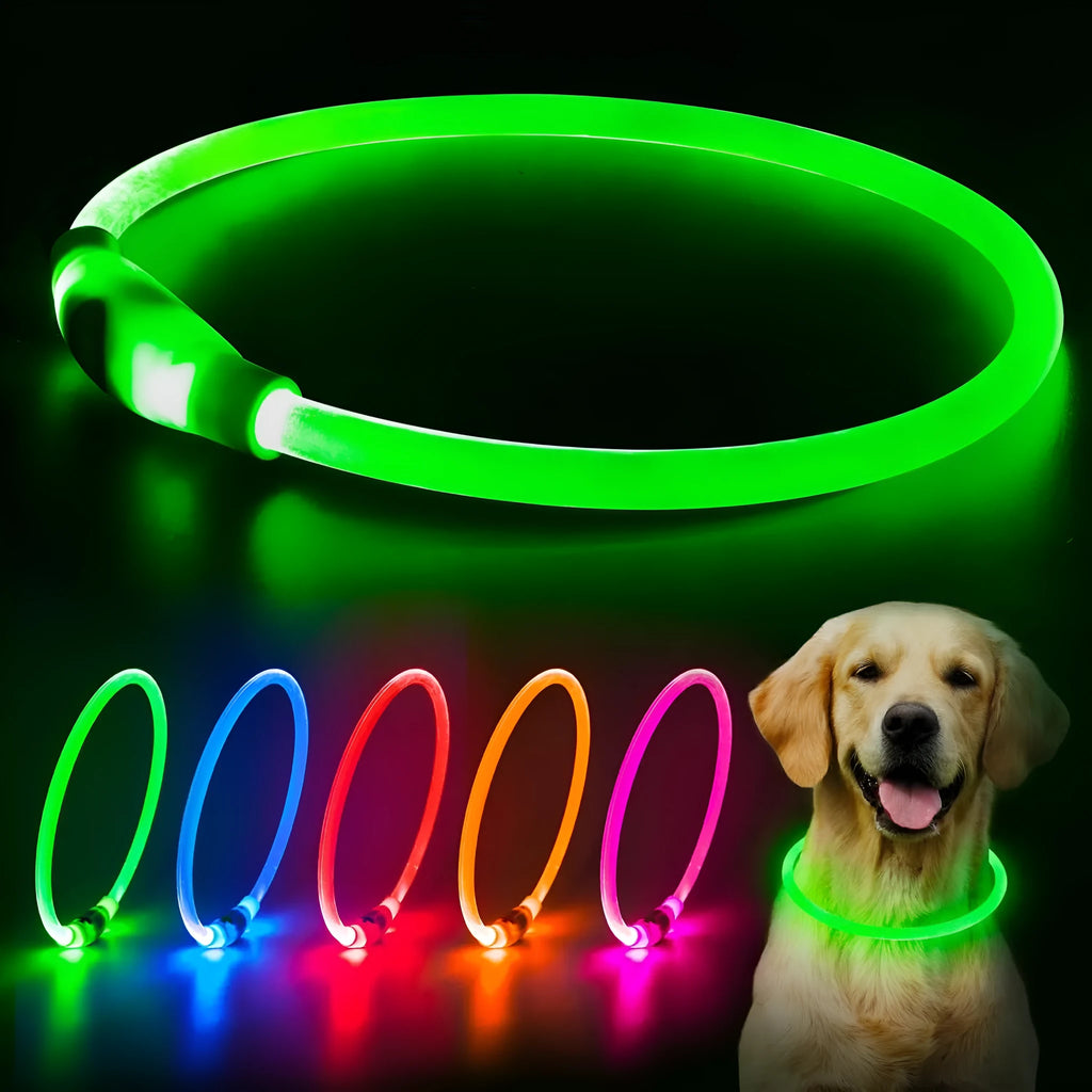 USB rechargeable LED dog collar glowing in dark with adjustable 70cm length