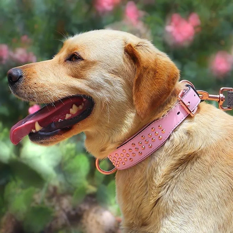 Leather dog collar with metal anti-bite rivets in black, chocolate, or pink colour options.