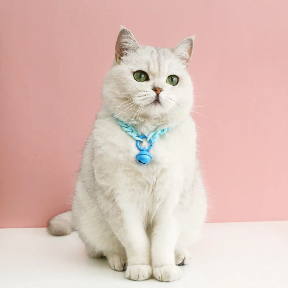 Macaron colour plastic pet collar for cats dogs rabbits with S and M size options