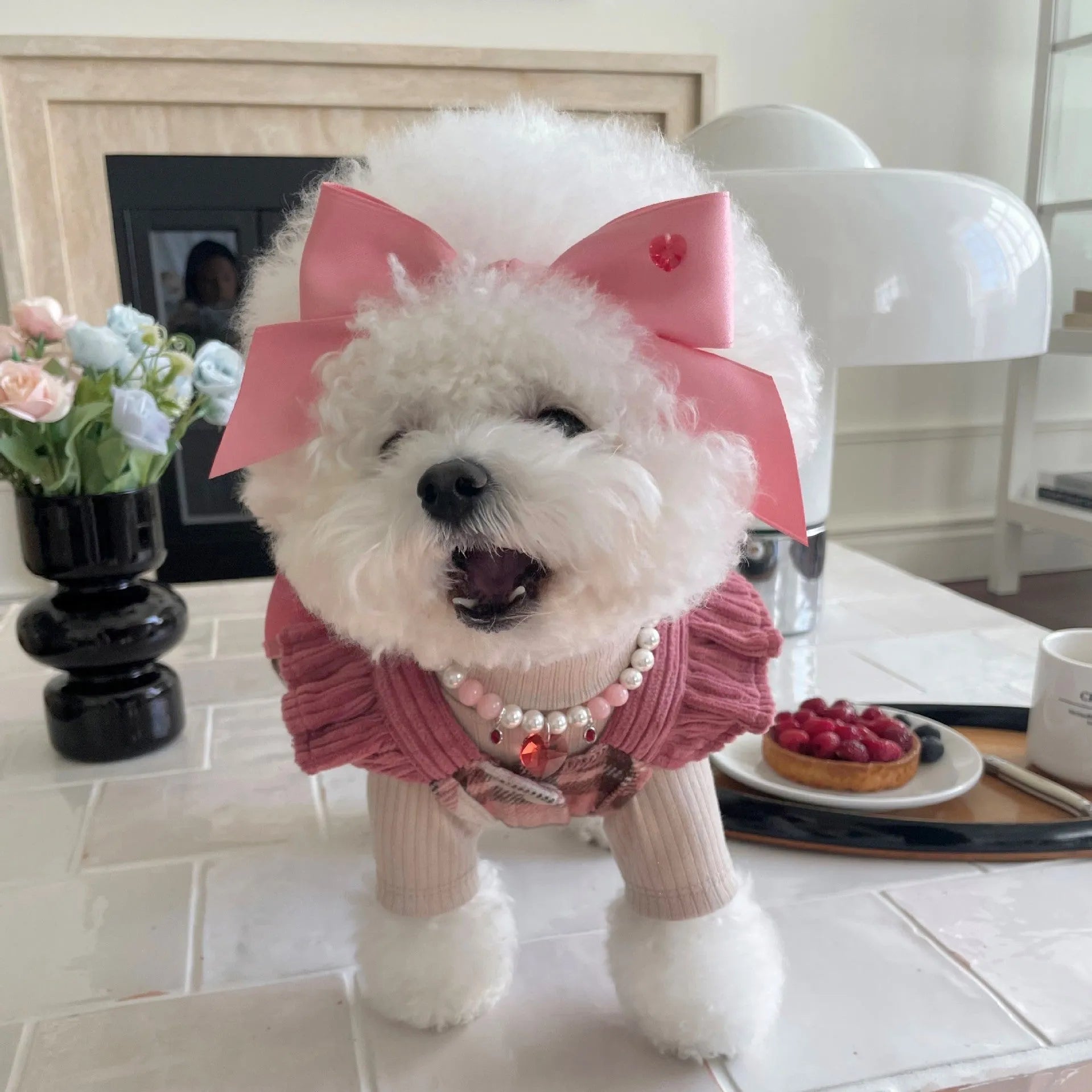 Princess style dog hair band with adjustable bow on canine model, showing polyester cotton jacquard construction