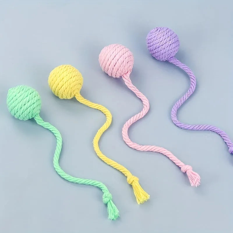 Interactive cat toy ball with rope attachment and built-in bell in green, pink, purple and yellow colours