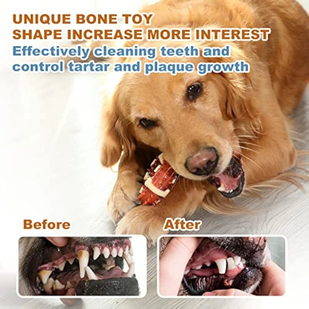 Natural rubber bone-shaped dog molar toy for teeth grinding in two sizes