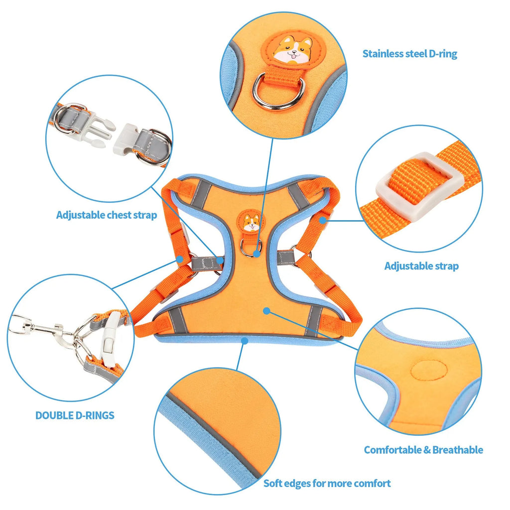 Adjustable rope dog harness in six colours with chest strap for pet control