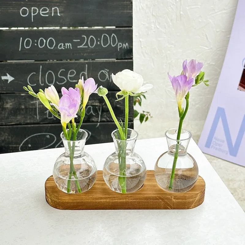 Wooden frame transparent hydroponic vase decoration in modern simplicity style