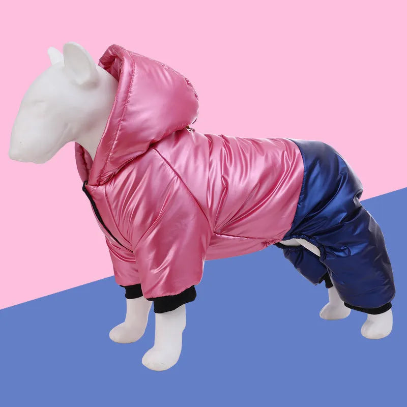 Green waterproof windproof cotton dog coat on four-legged pet